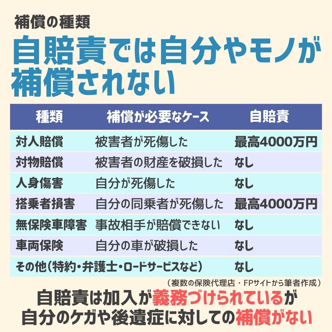 自動車保険の選び方,画像で分かる