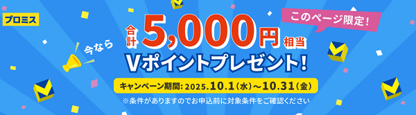 プロミスの詳細