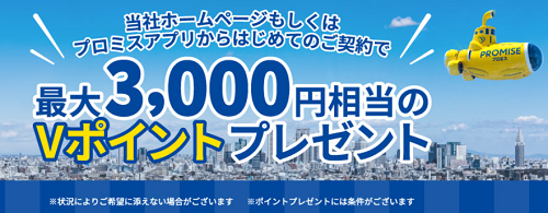 プロミスの詳細