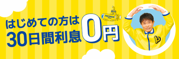 プロミスの詳細