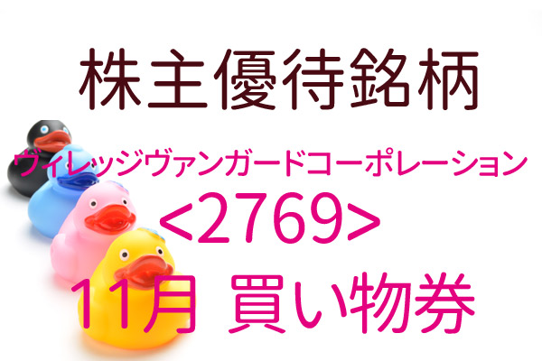 人気雑貨【ヴィレッジヴァンガード12000円　株主優待　ゲーム　おもちゃ